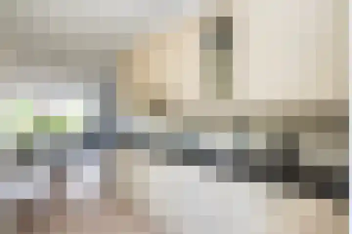 Tiendschuurstraat 71 Zwolle thumbnail 8