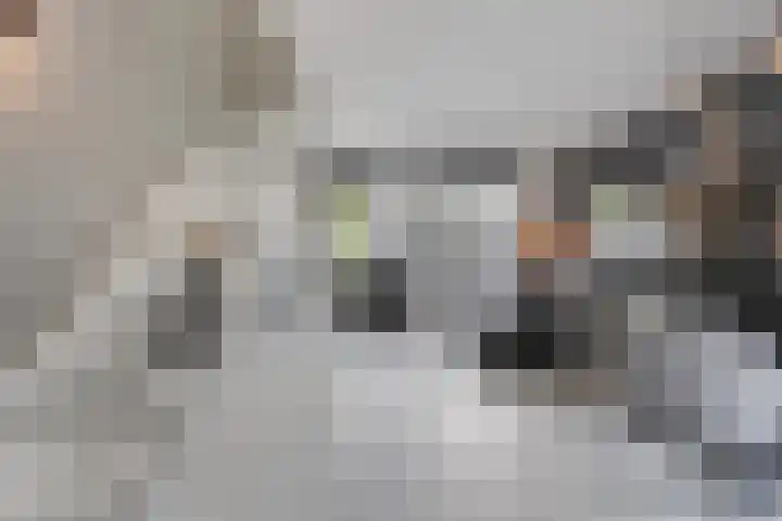 Tiendschuurstraat 92 Zwolle thumbnail 11