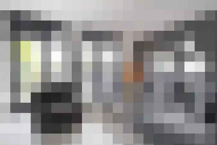 Tiendschuurstraat 92 Zwolle thumbnail 14