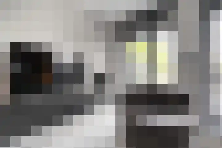 Tiendschuurstraat 92 Zwolle thumbnail 18