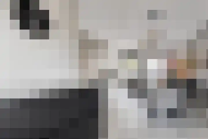 Tiendschuurstraat 92 Zwolle thumbnail 21