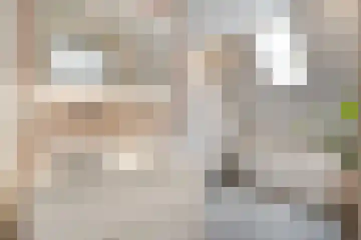 Tiendschuurstraat 92 Zwolle thumbnail 32