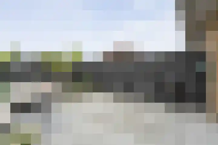 Tiendschuurstraat 92 Zwolle thumbnail 38