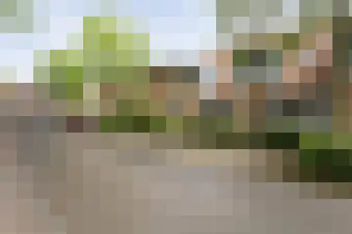 Tiendschuurstraat 92 Zwolle thumbnail 4