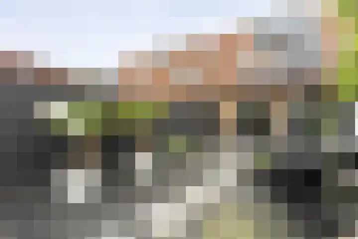 Tiendschuurstraat 92 Zwolle thumbnail 42