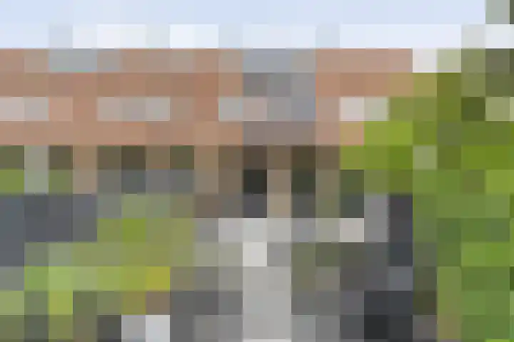 Tiendschuurstraat 92 Zwolle thumbnail 45