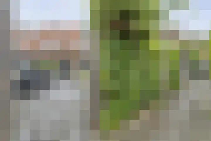 Tiendschuurstraat 92 Zwolle thumbnail 46