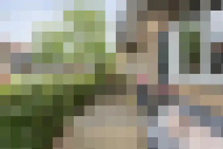 Tiendschuurstraat 92 Zwolle thumbnail 7