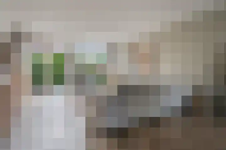 Tiendschuurstraat 96 Zwolle thumbnail 13