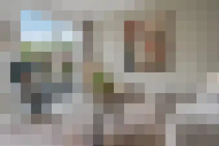 Tiendschuurstraat 96 Zwolle thumbnail 14