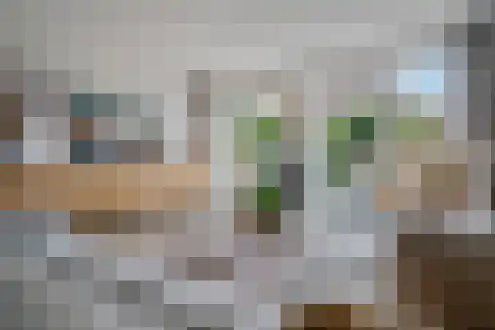 Tiendschuurstraat 96 Zwolle thumbnail 18