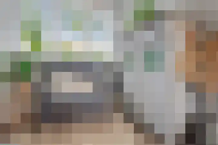 Tiendschuurstraat 96 Zwolle thumbnail 20