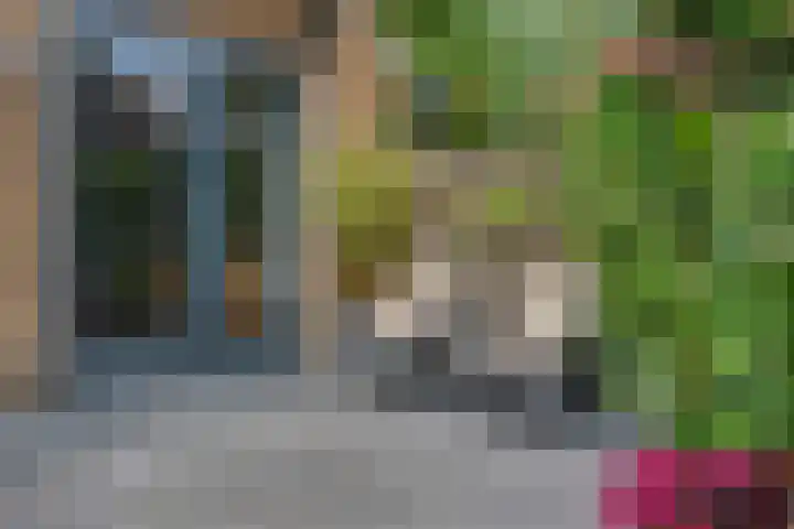 Tiendschuurstraat 96 Zwolle thumbnail 25