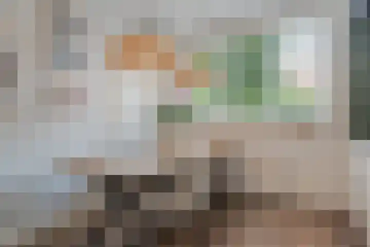 Tiendschuurstraat 96 Zwolle thumbnail 35