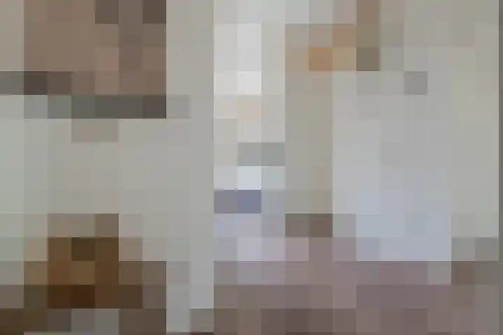Tiendschuurstraat 96 Zwolle thumbnail 38