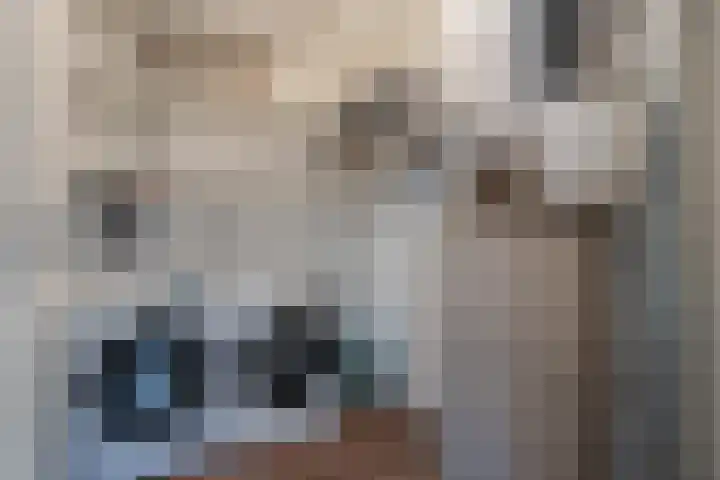 Tiendschuurstraat 96 Zwolle thumbnail 46