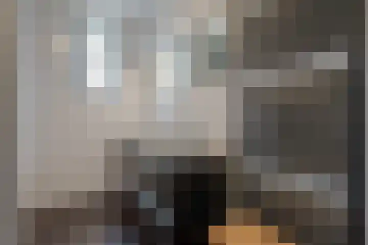 Tiendschuurstraat 96 Zwolle thumbnail 47