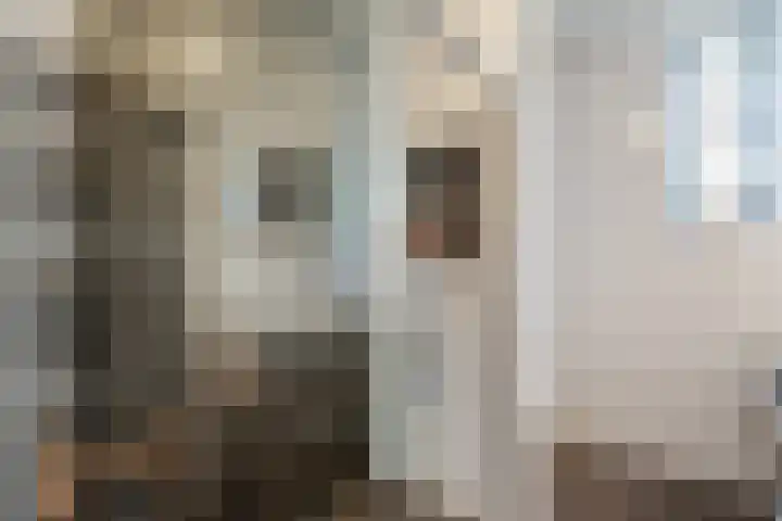 Tiendschuurstraat 96 Zwolle thumbnail 48
