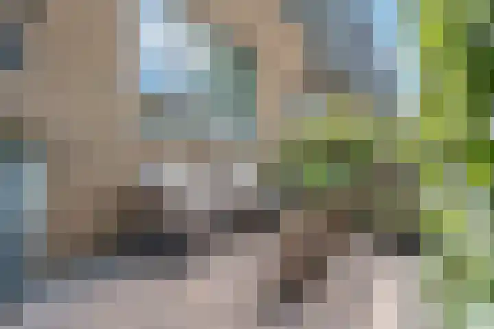 Tiendschuurstraat 96 Zwolle thumbnail 6