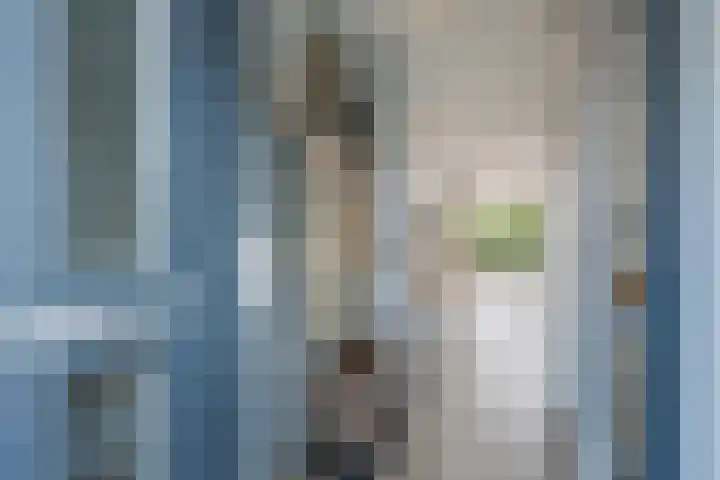 Tiendschuurstraat 96 Zwolle thumbnail 8