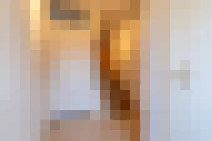 Tiendstraat 24 Sint Geertruid thumbnail 16