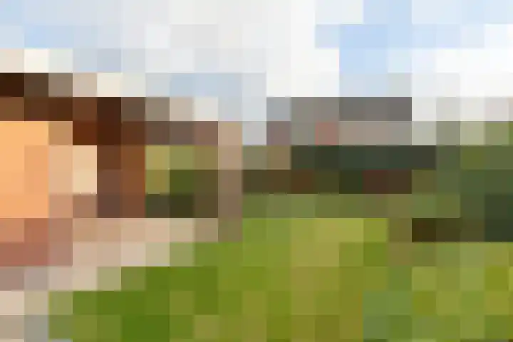 Tiendstraat 24 Sint Geertruid thumbnail 32