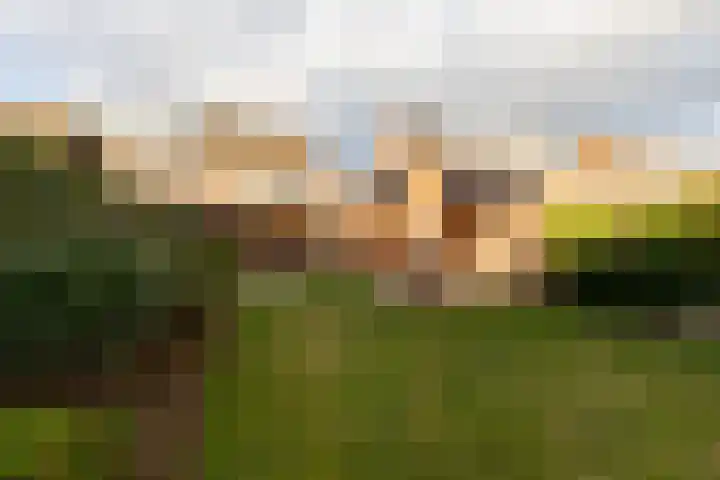 Tiendstraat 24 Sint Geertruid thumbnail 33