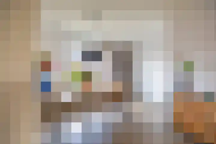 Tiendstraat 29 Wanssum thumbnail 10