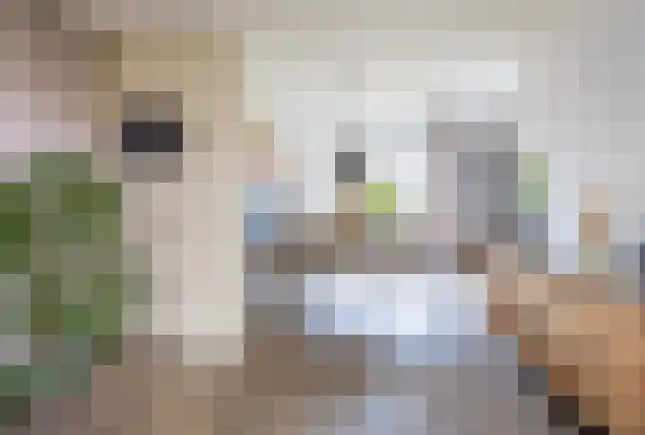 Tiendstraat 29 Wanssum thumbnail 11
