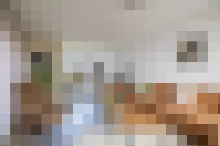 Tiendstraat 29 Wanssum thumbnail 12