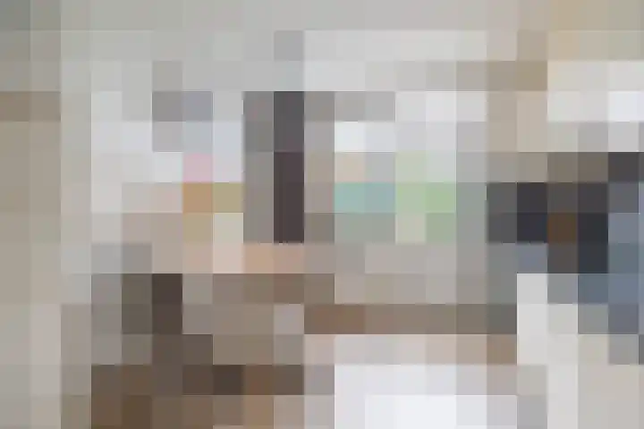 Tiendstraat 29 Wanssum thumbnail 15