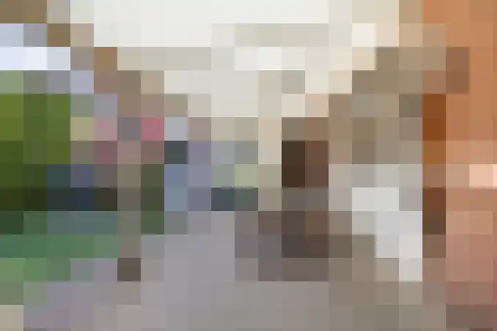 Tiendstraat 29 Wanssum thumbnail 29