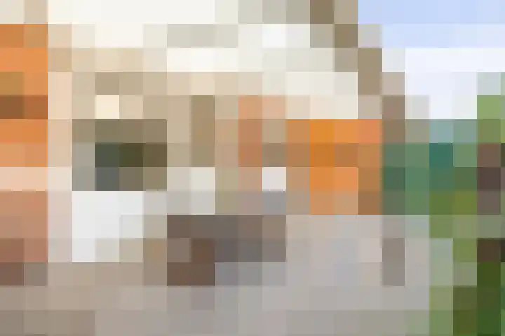 Tiendstraat 29 Wanssum thumbnail 30