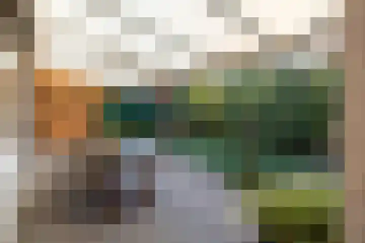 Tiendstraat 29 Wanssum thumbnail 31