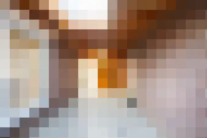 Tiendstraat 29 Wanssum thumbnail 35