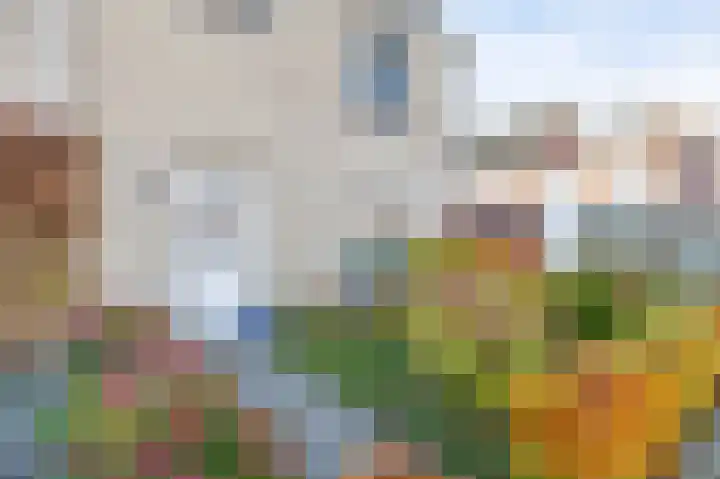Tiendstraat 29 Wanssum thumbnail 5