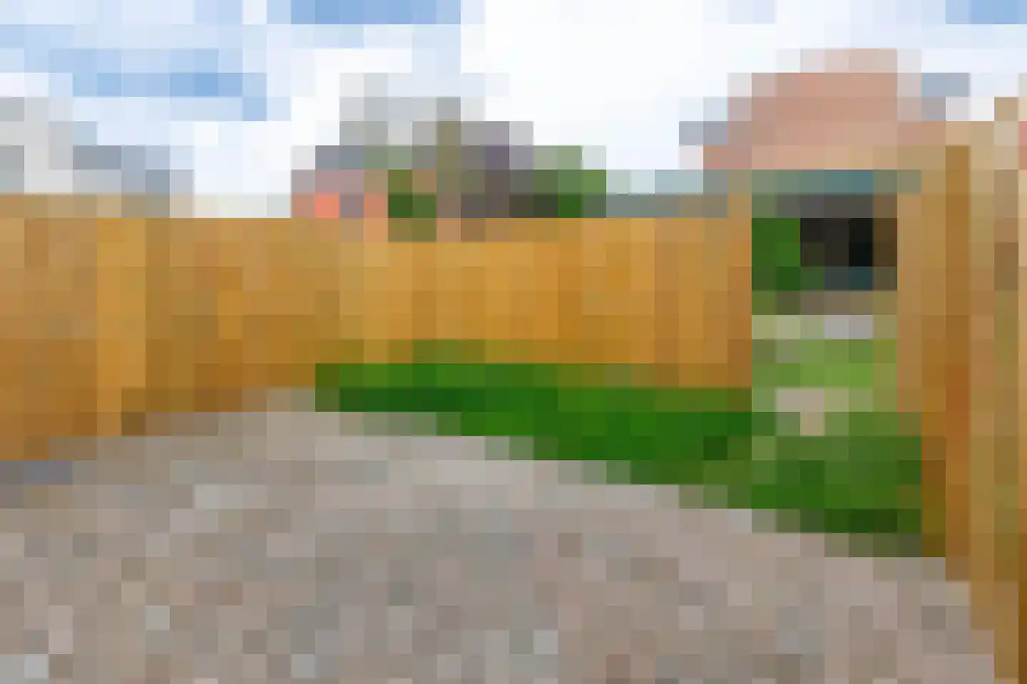 Tiendstraat 31 Helmond thumbnail 35