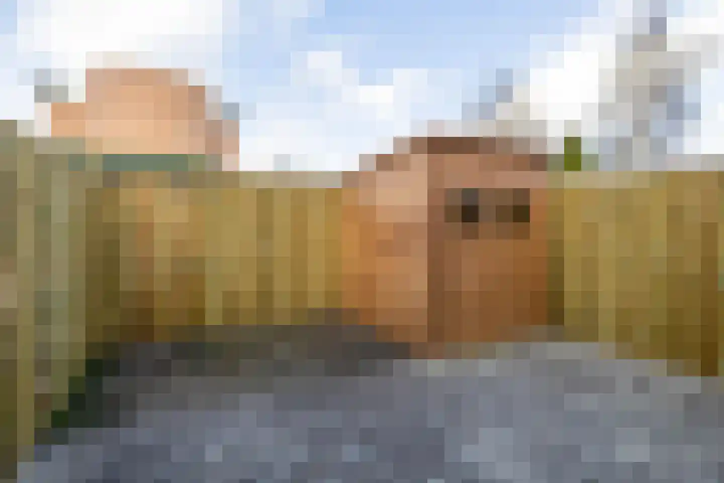 Tiendstraat 33 Helmond thumbnail 36