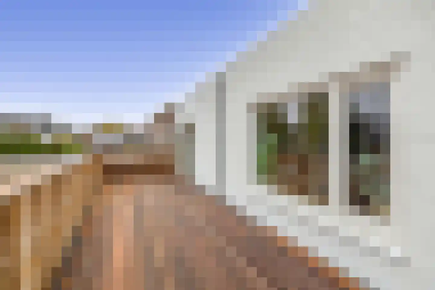 Tiendstraat 37 Helmond thumbnail 34