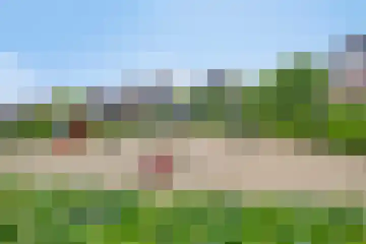 Tiendvrij 16 Sint Anthonis thumbnail 36