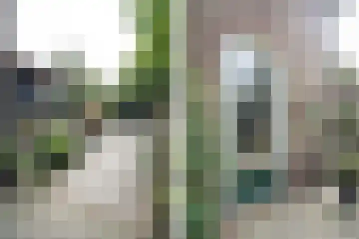 Tiendweg 117 Leerdam thumbnail 8
