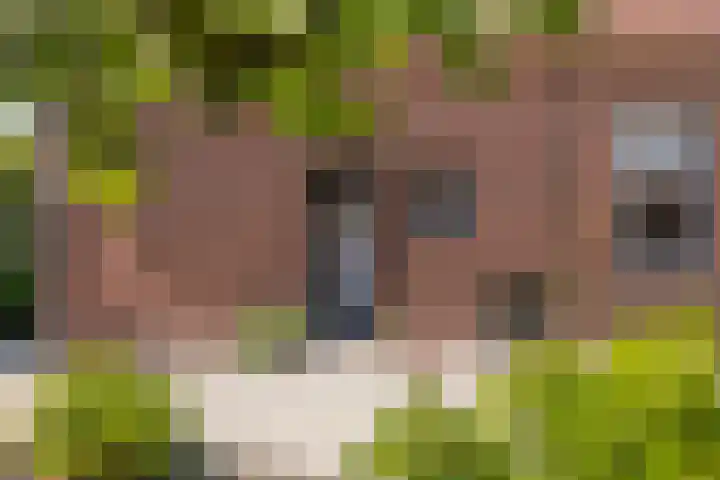 Tiendweg 12 Harmelen thumbnail 12