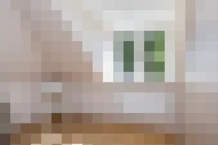 Tiendweg 12 Harmelen thumbnail 35