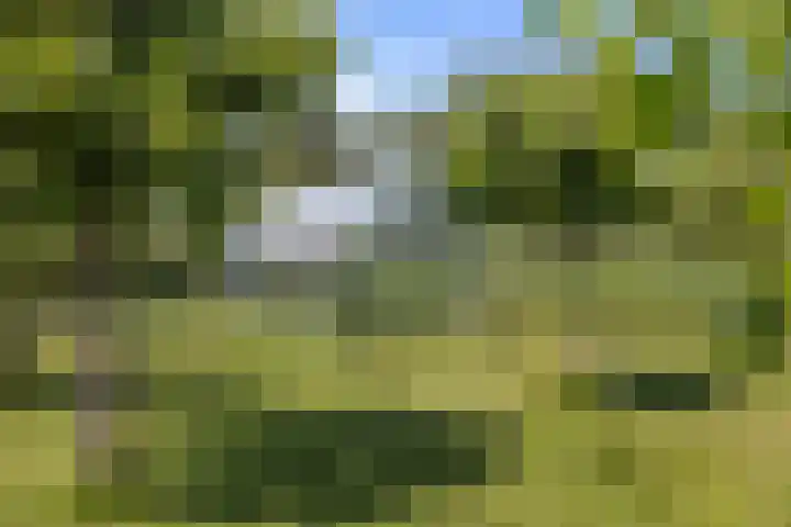 Tiendweg 12 Harmelen thumbnail 41