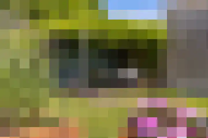 Tiendweg 12 Harmelen thumbnail 44