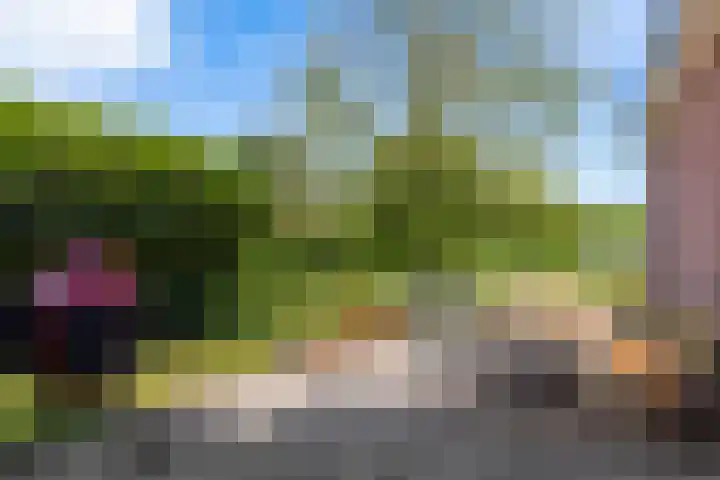 Tiendweg 12 Harmelen thumbnail 45
