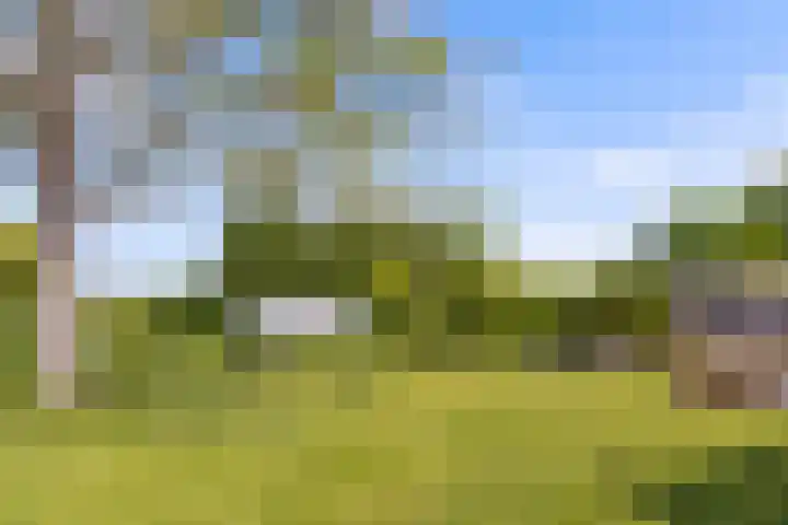 Tiendweg 12 Harmelen thumbnail 49