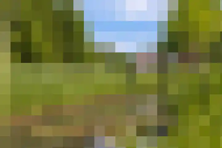 Tiendweg 12 Harmelen thumbnail 51