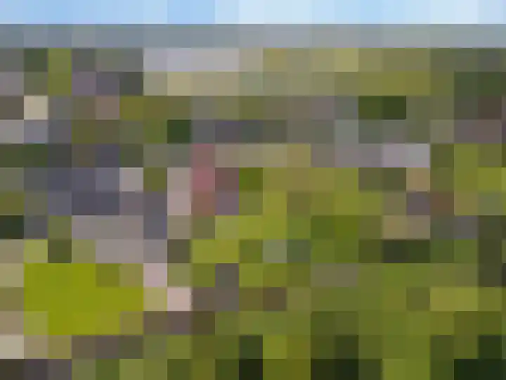 Tiendweg 12 Harmelen thumbnail 54