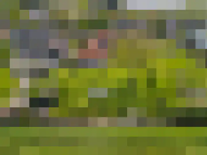 Tiendweg 12 Harmelen thumbnail 60